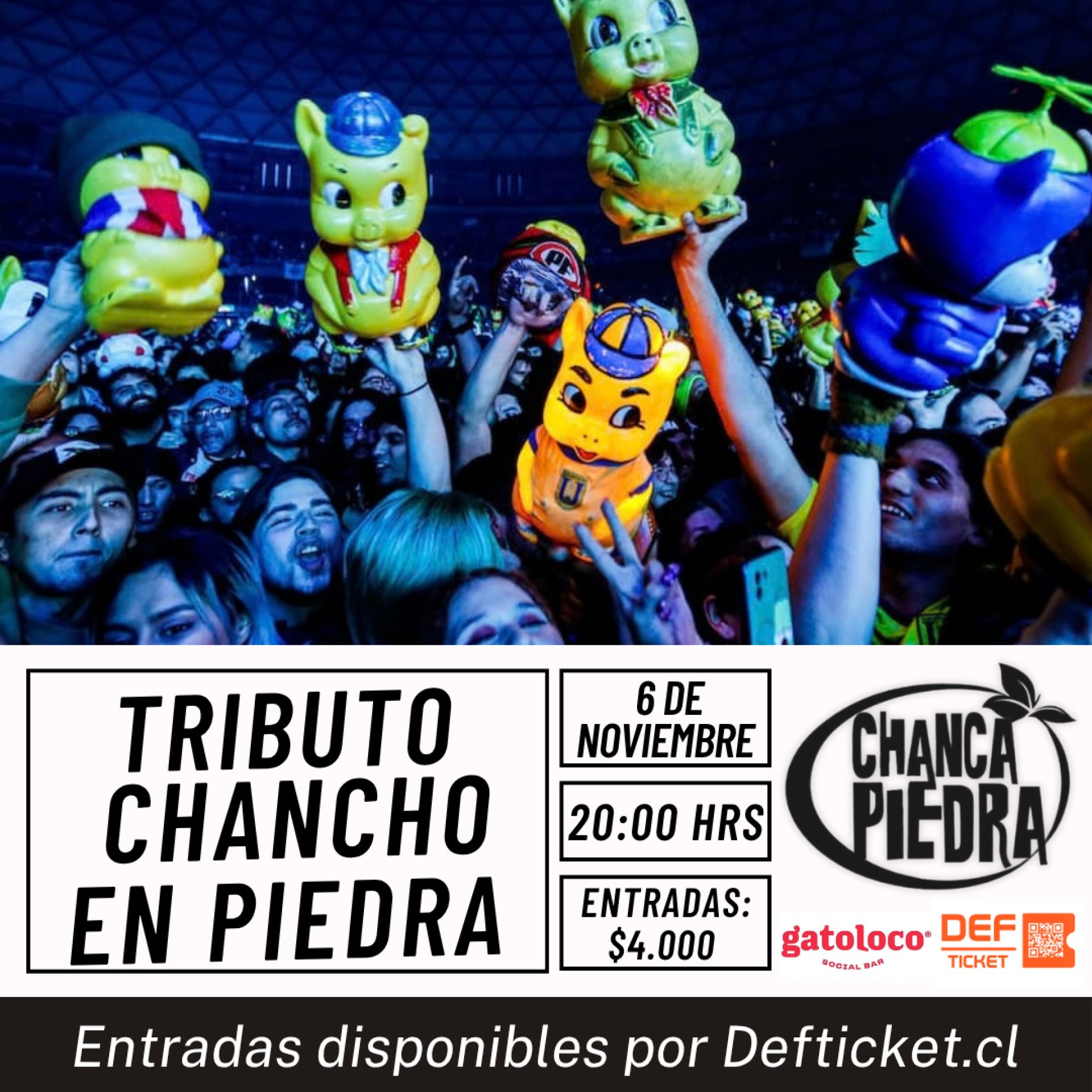 Chanca-Piedra-en-Talca